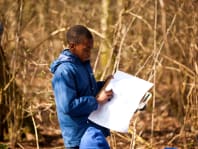 young boy enjoying outdoor learning in a wood