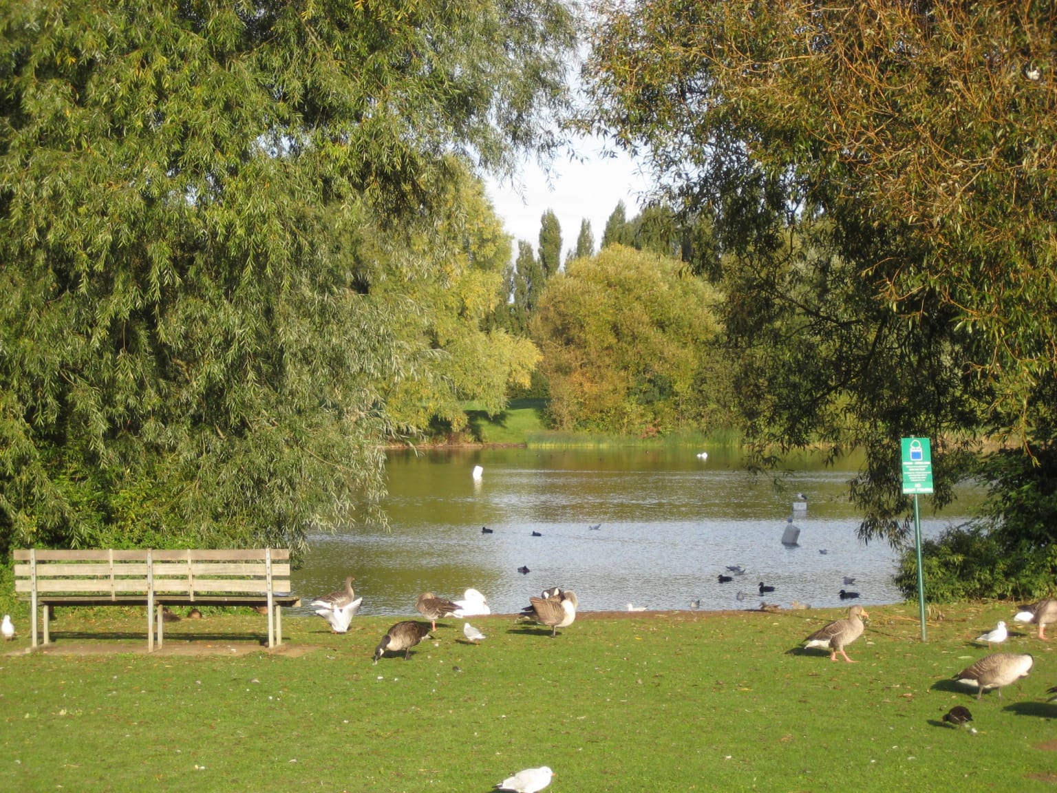 Orton Mere pond