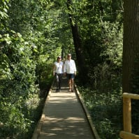 couple walking down the boardwalk in nene park