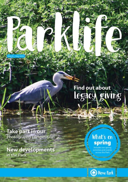 spring 2020 parklife magazine front cover