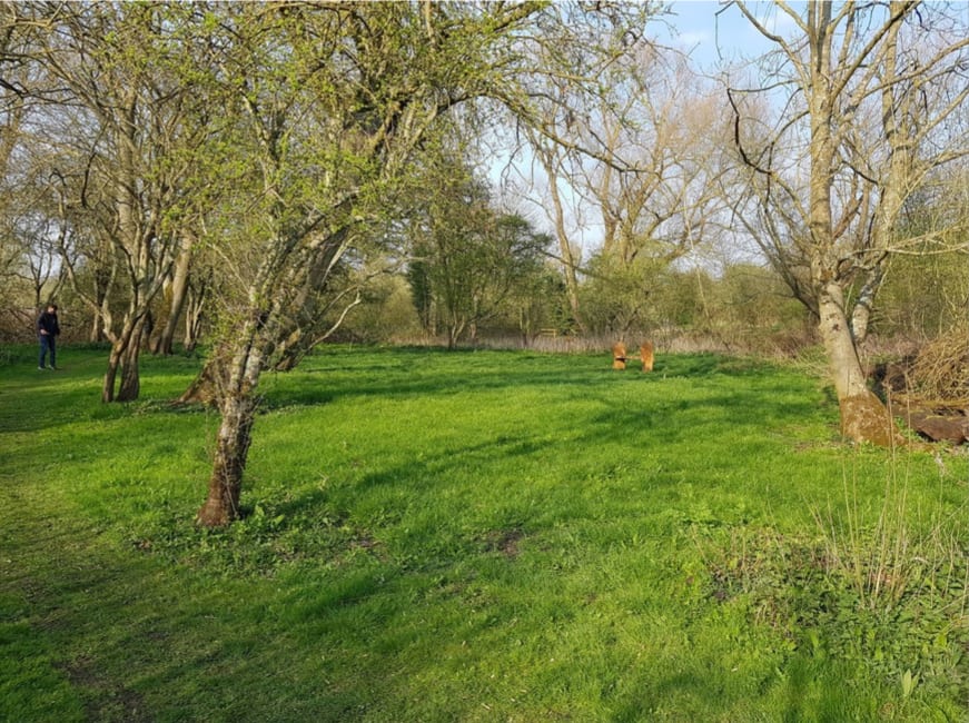 woodston rest field