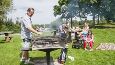 Family having a BBQ in the park