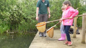 Pond Dipping (Drop In Session)
