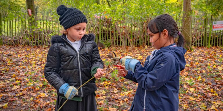 Two young school girls in the autumnal woods using tools and sticks