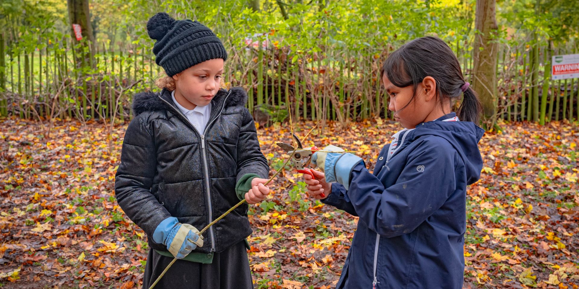 Two young school girls in the autumnal woods using tools and sticks