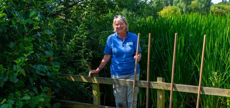 Female volunteer at a pond dipping platform in a country park