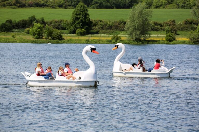Families in two white swan pedalos on a lake