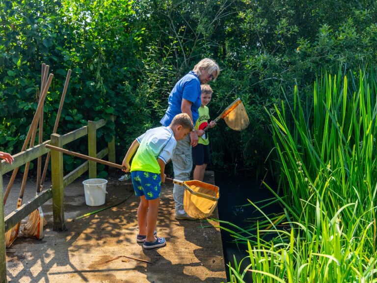 Two young boys pond dipping on a wooden platform with a female volunteer
