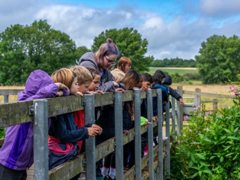 group of young school children looking over a wooden bridge on a school visit