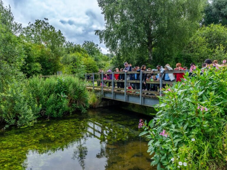 group of school children looking over a wooden bridge onto a river on a school visit