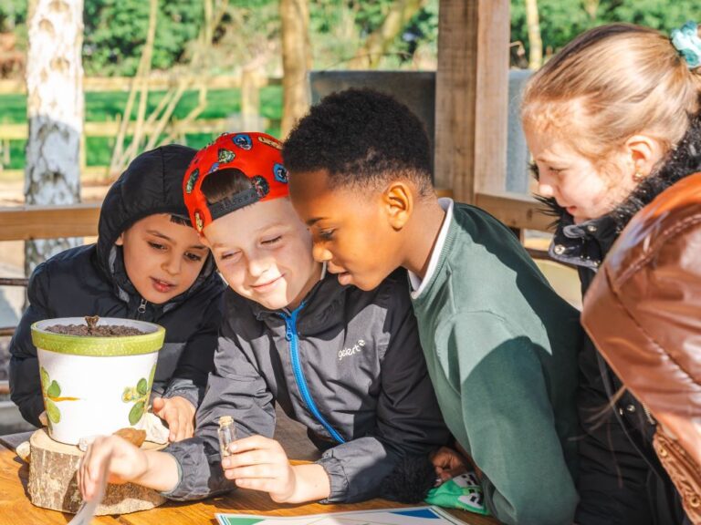group of school children working in an outdoor classroom on a school visit