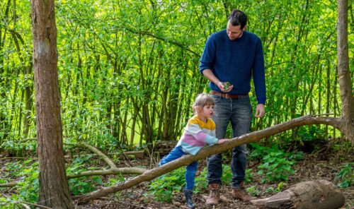 Father and young daughter exploring a wooded area