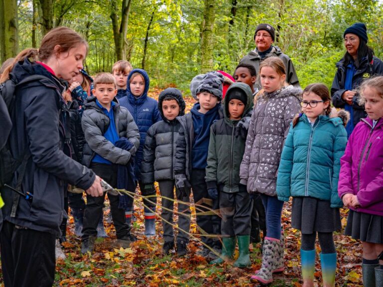 group of school children in a woodland on a school visit