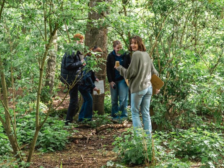 group of older pupils on a school visit in a woodland