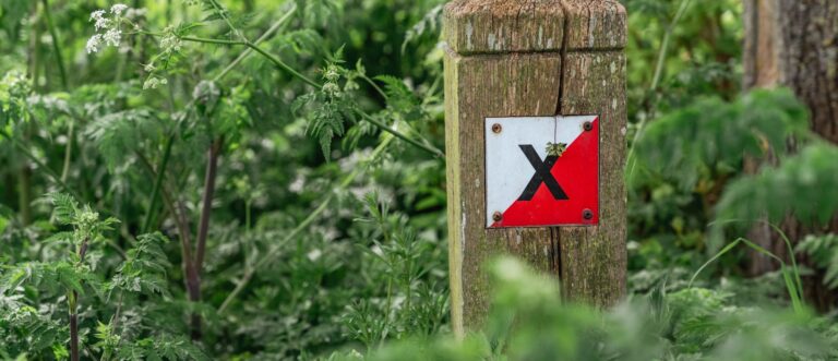 Short wooden post with a white and red square orienteering sign attached showing the letter X