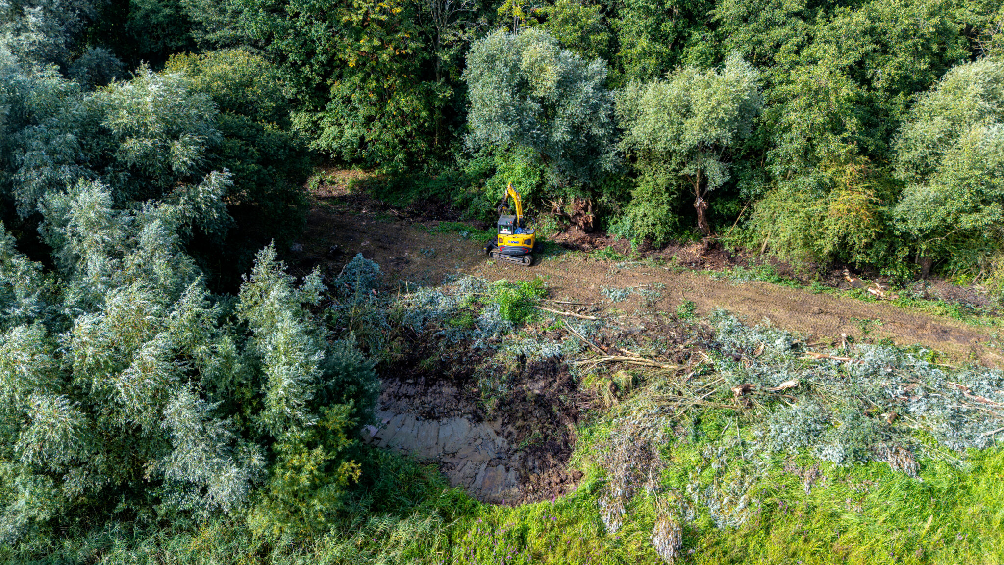Area of wetland being cleared of scrub and willow to create better wetland wildlife habitat.