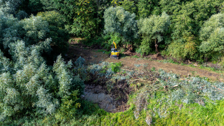 Area of wetland being cleared of scrub and willow to create better wetland wildlife habitat.