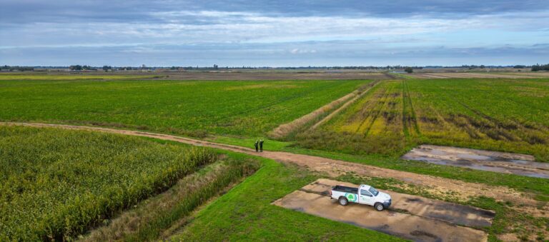 Drone view over farming fields with a blue sky