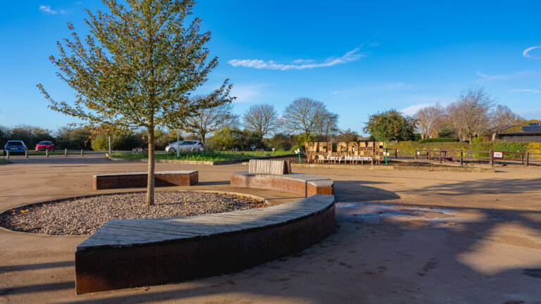 welcome area with central tree and circular seating around it.
