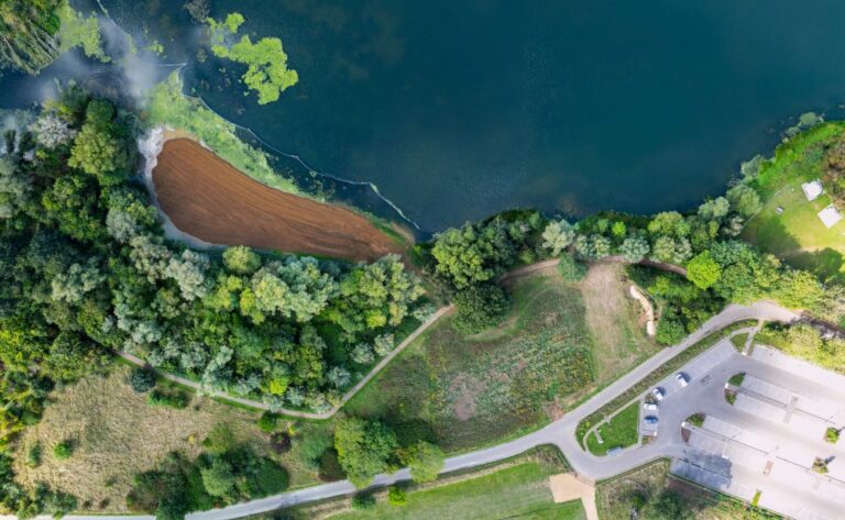 drone view of a soil reed bed on the edge of a large lake with green trees and meadows around it