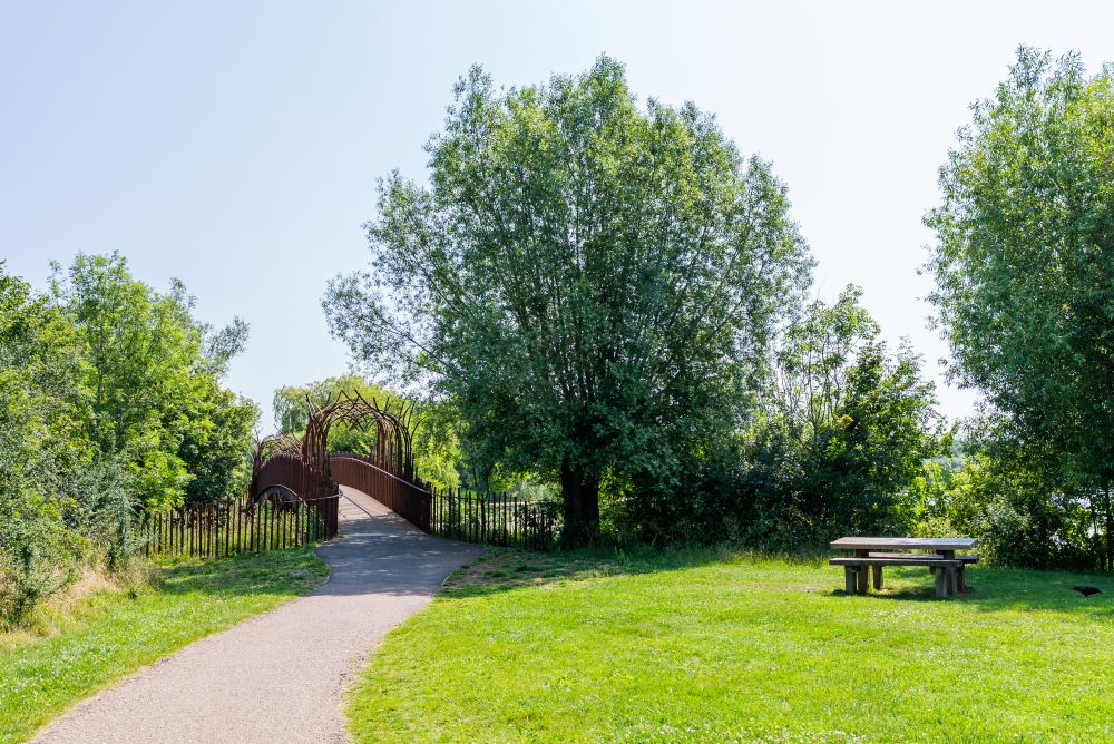 path leading to cortex bridge with trees either side