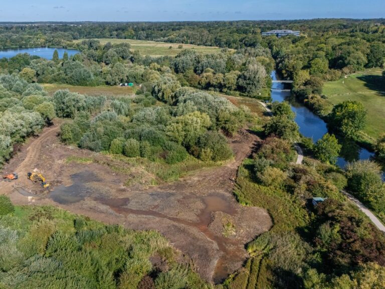 drone image over a large area of green space being developed for biodiversity