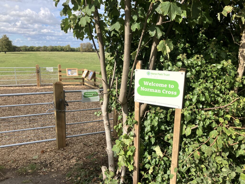 Viewing area at the Norman Cross site.