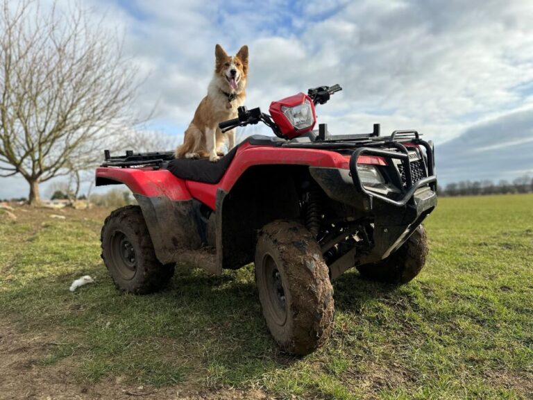 a sheep dog sat on a red quad bike in a farming field