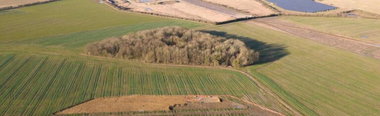 Aerial image of Prestley Wood, Alconbury.