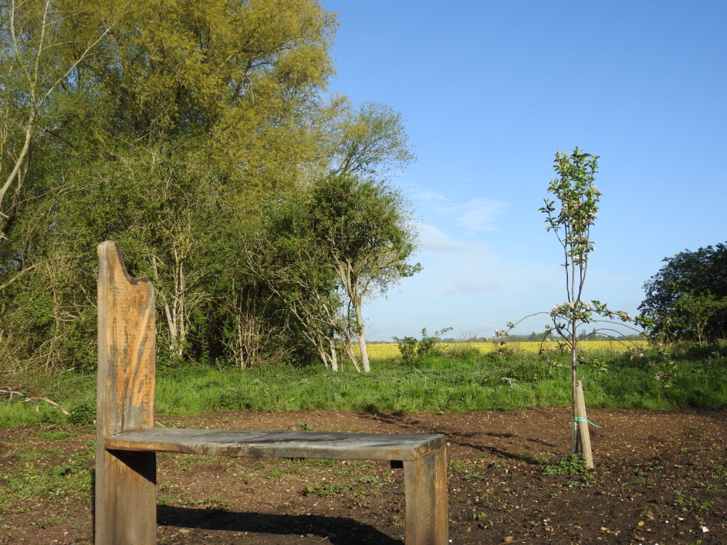 Handcrafted wooden bench and fruit trees