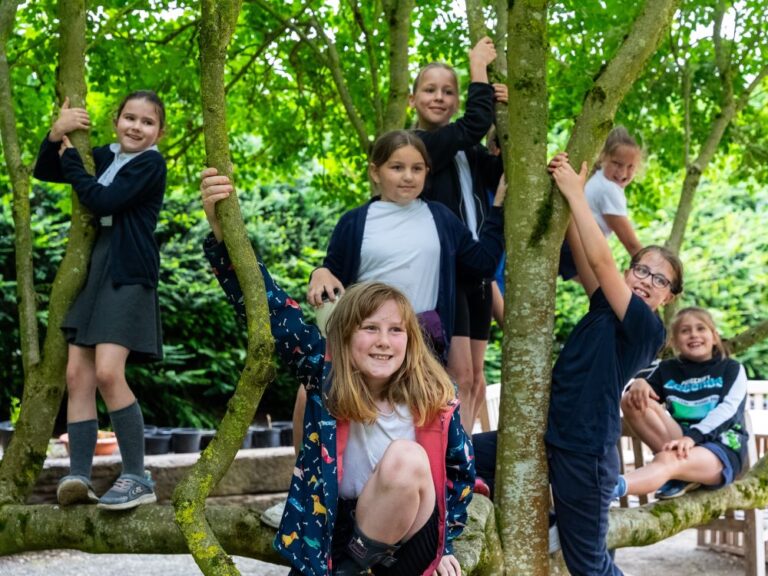 Group of primary school girls climbing a tree