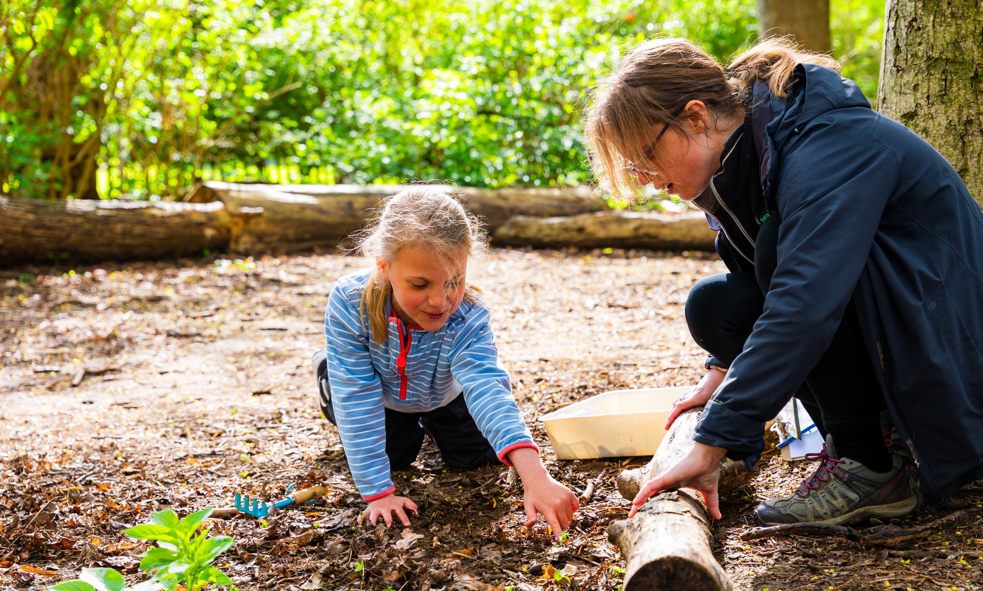 Female member of Nene Park Trust staff in the woods assisting a young girl on an activity
