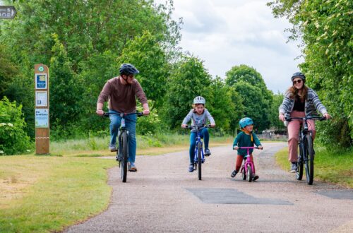 Family of four enjoying a bike ride in a country park
