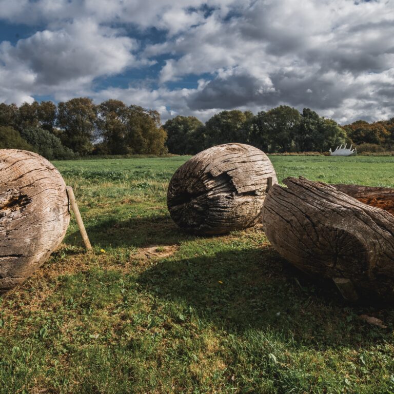 wooden sculptures set in a landscape setting.