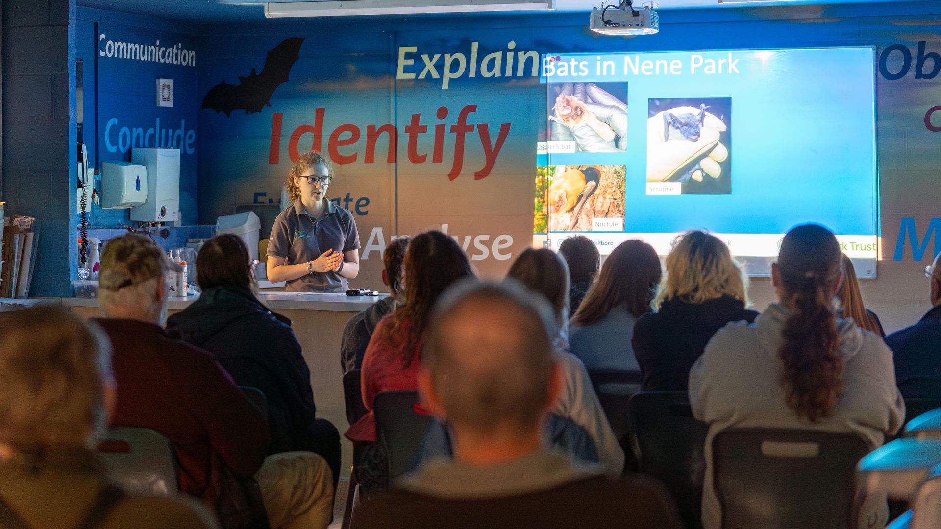 A young woman stands at the front of a classroom delivering a presentation about bats. In front of her, about a dozen people sit on plastic chairs listening intently. There is a projector screen with a presentation featuring photos and information about bats as a visual aid.