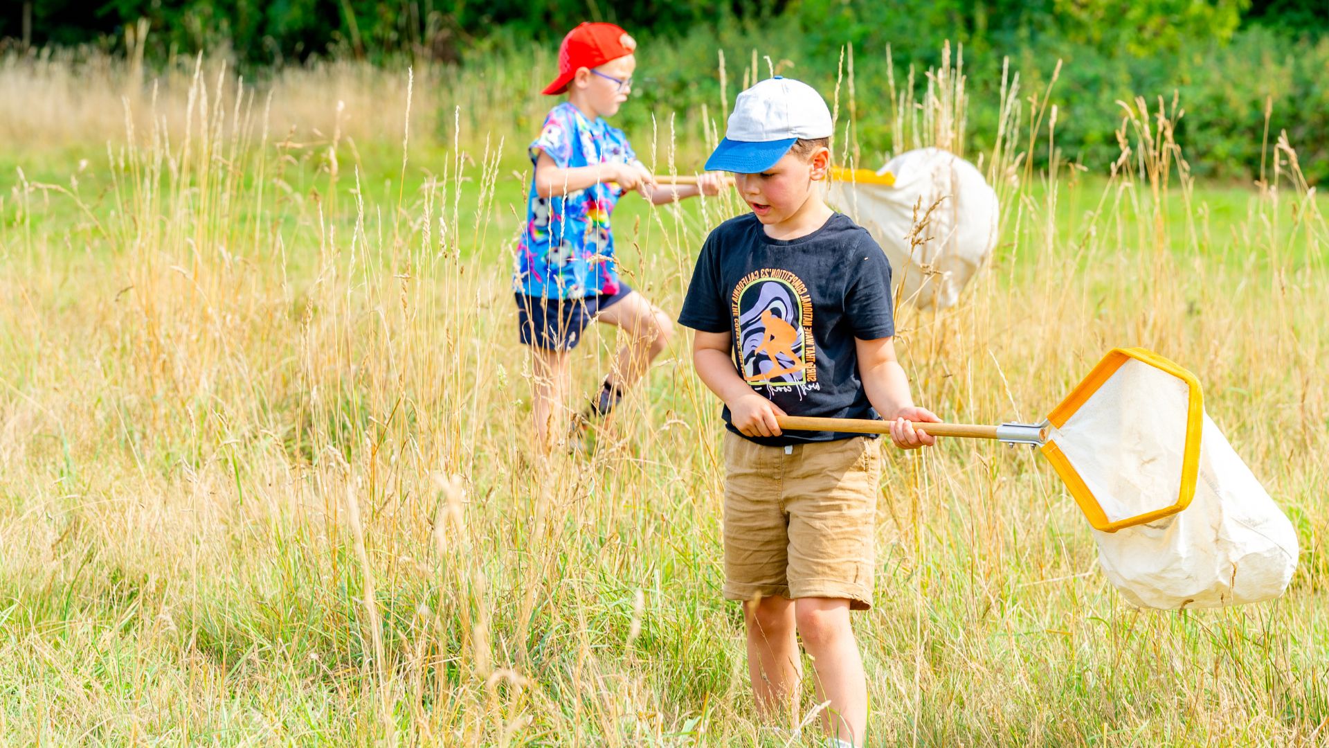 two young boys catching bugs with nets on a meadow