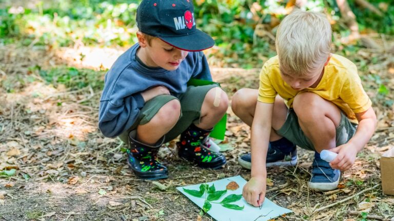 Two young boys making a picture using leaves in a woodland setting
