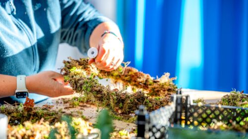 a person creating a moss based Christmas wreath at a craft workshop