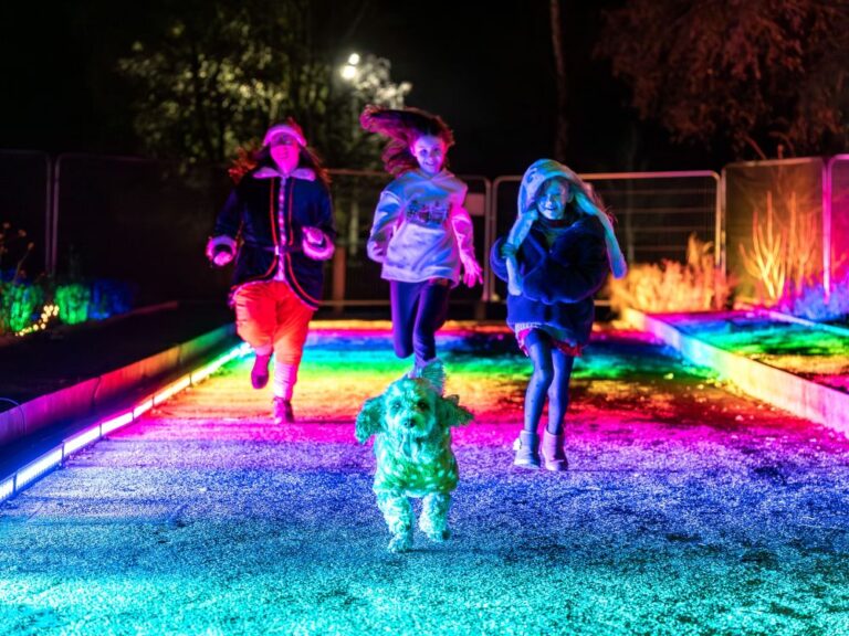 two children, a christmas elf and a dog running along a rainbow lit pathway at a christmas event