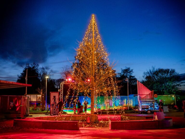 Large Christmas tree made of lights at a Christmas event