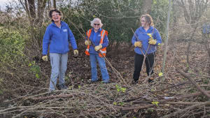 Conservation Group Lead Volunteers